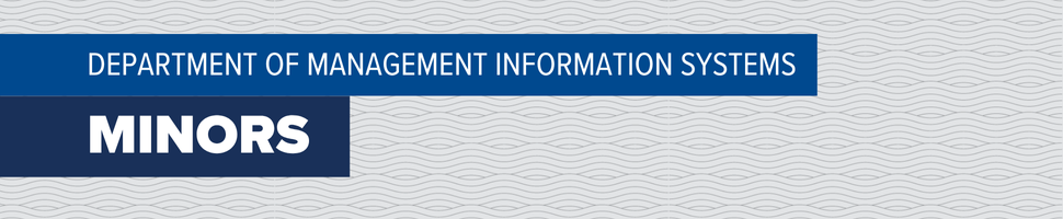 Department of MIS - Minors