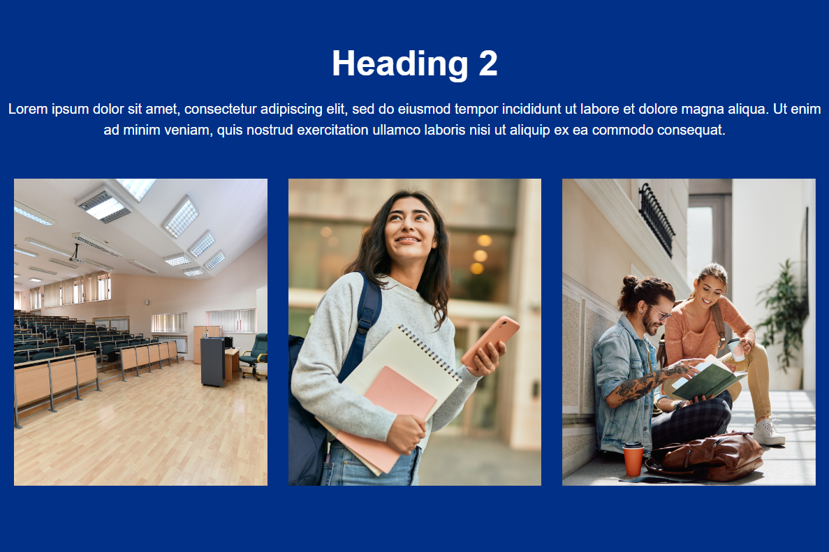 Carousel Cards Example