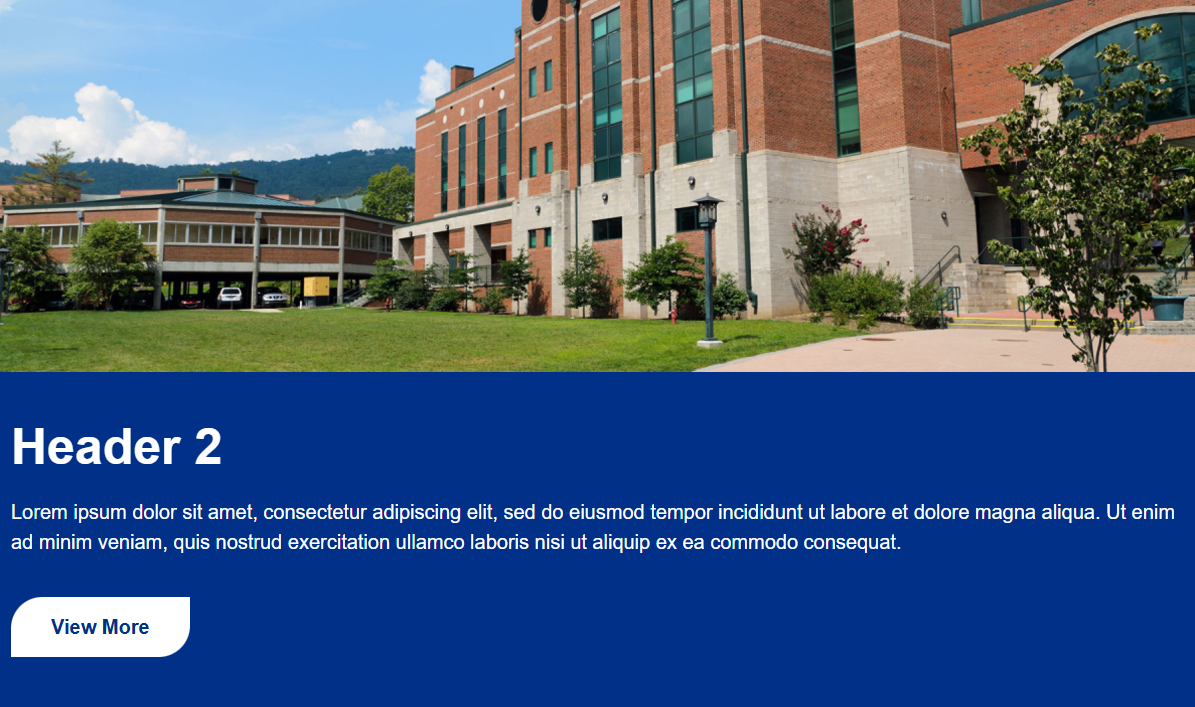 Header Top Image Example