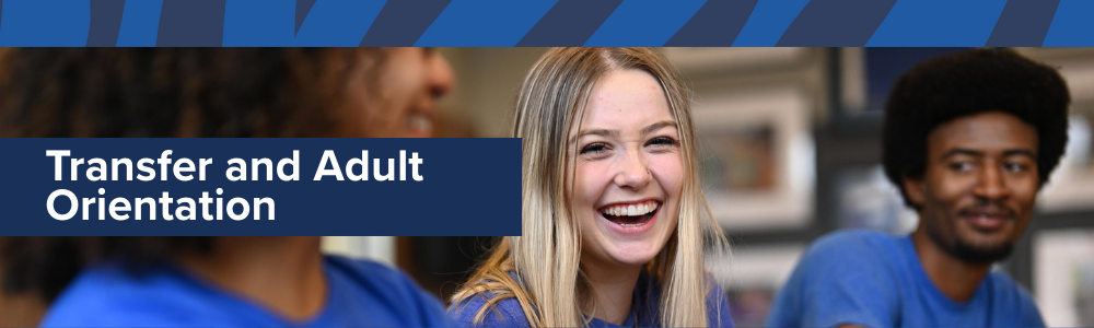 Transfer and Adult Orientation