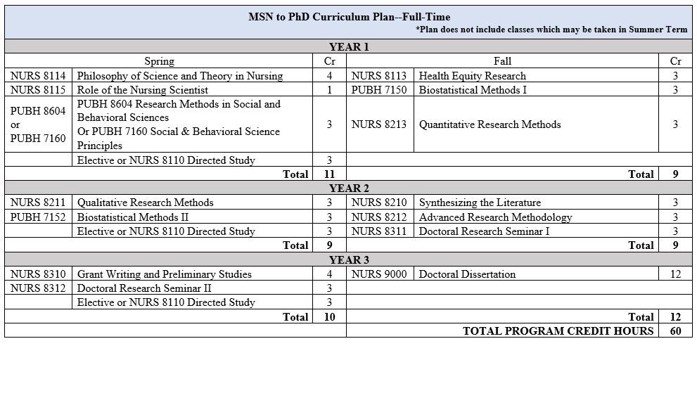 MSN to PHD Curriculum