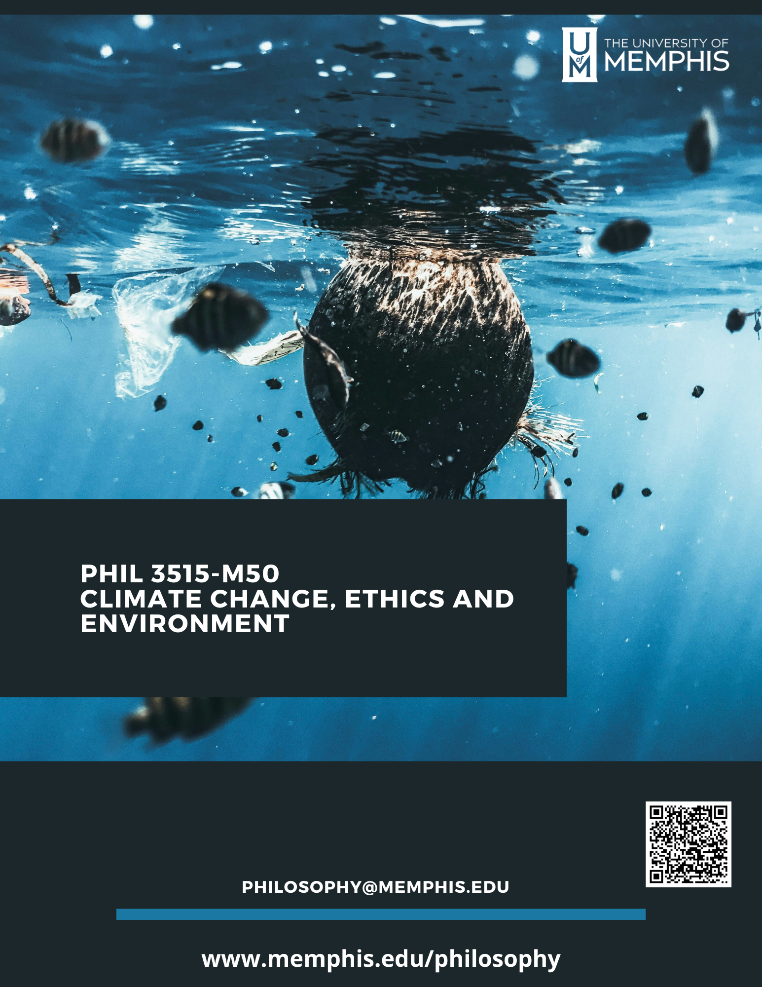 Environmental Ethics