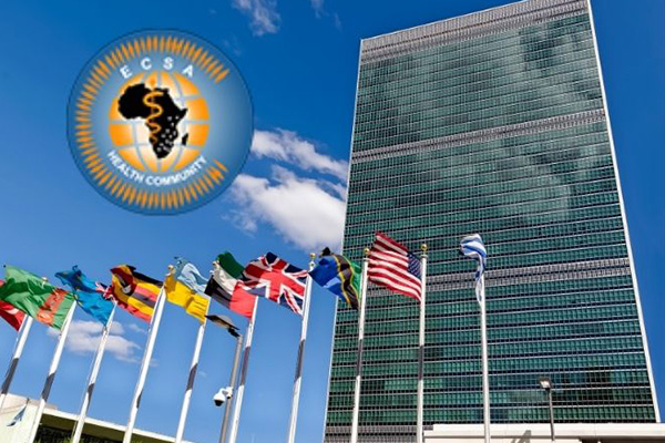 Flags and UNGA 80 ECSA-HC at the Science Summit