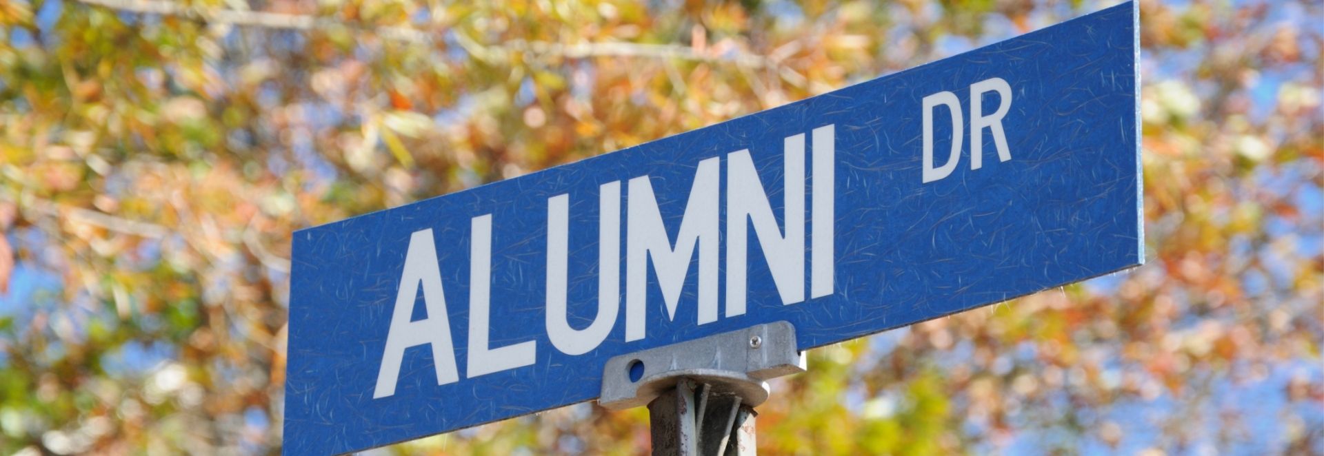 alumni text
