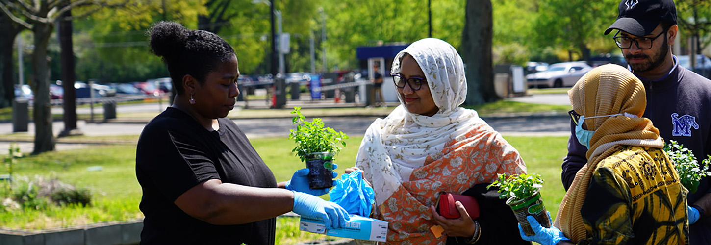 People, plants, trees