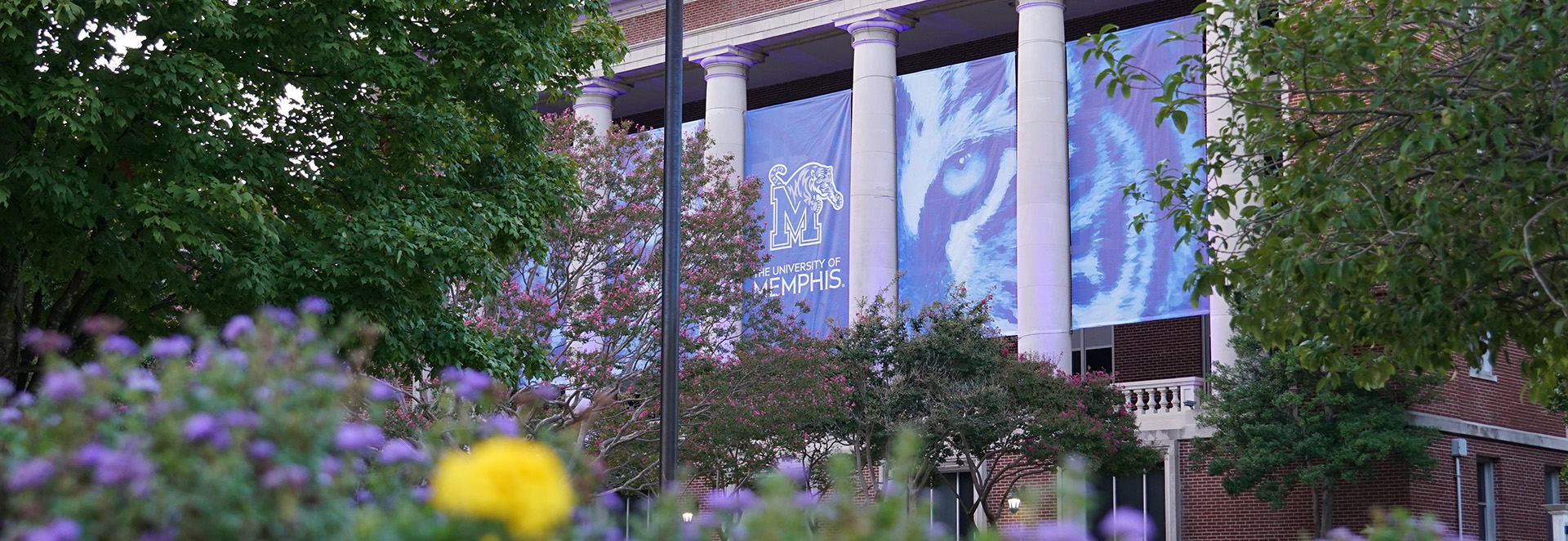 UofM Building, logo and trees
