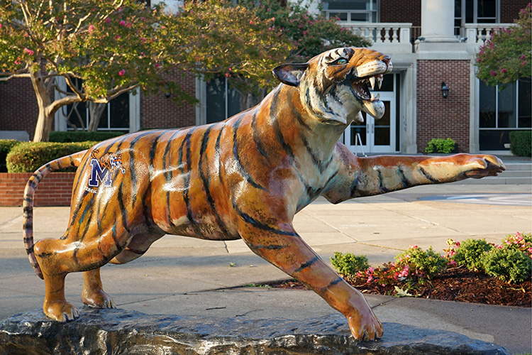 Activities - Community