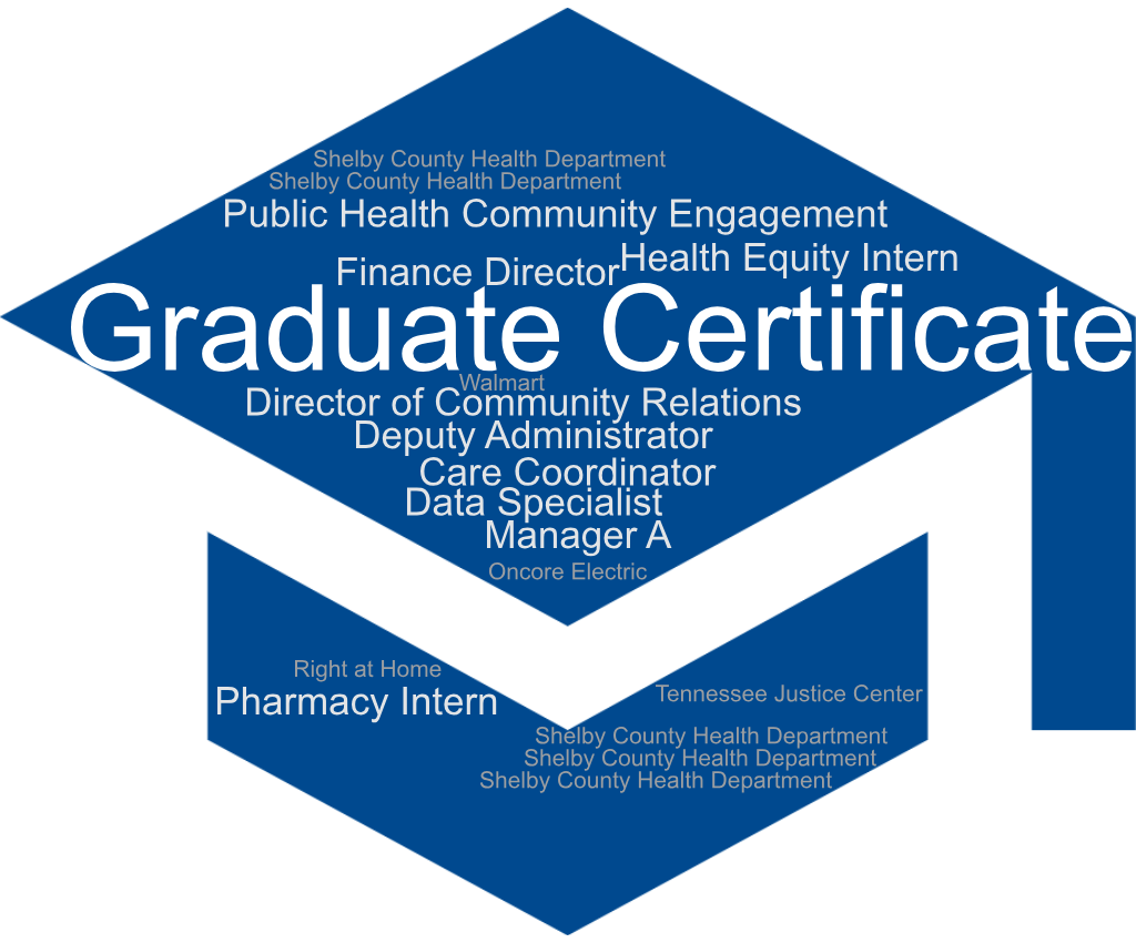 Word Cloud Grad Cert