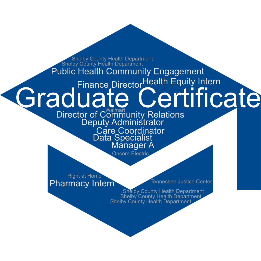 Word Cloud Grad Cert