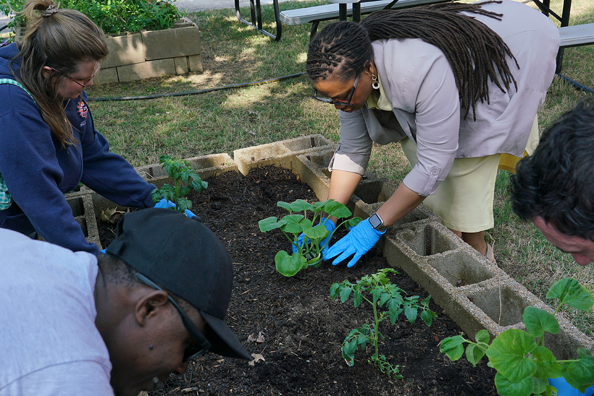 SPH Plant and Picnic