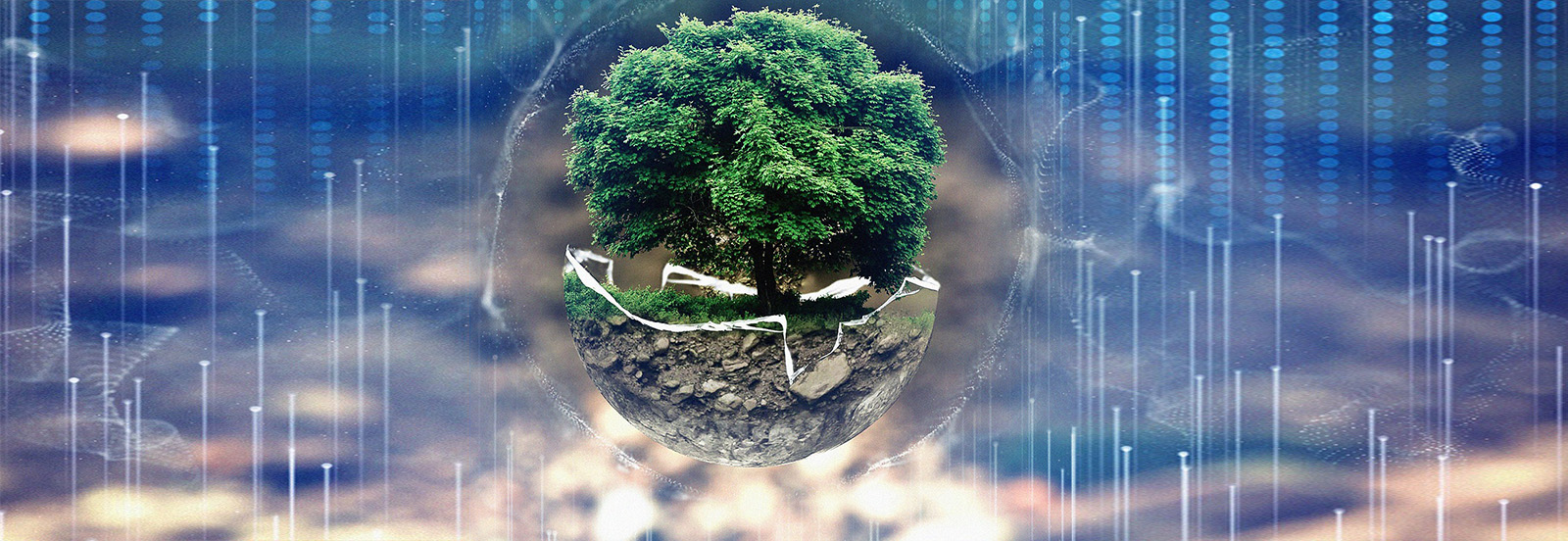 A tree and environment