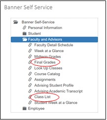 Banner self service menu with Faculty and Advisors folder expanded