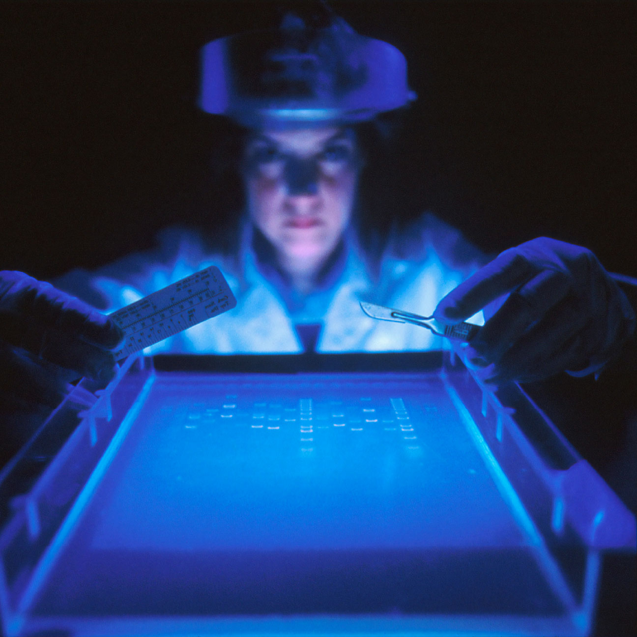 Researcher