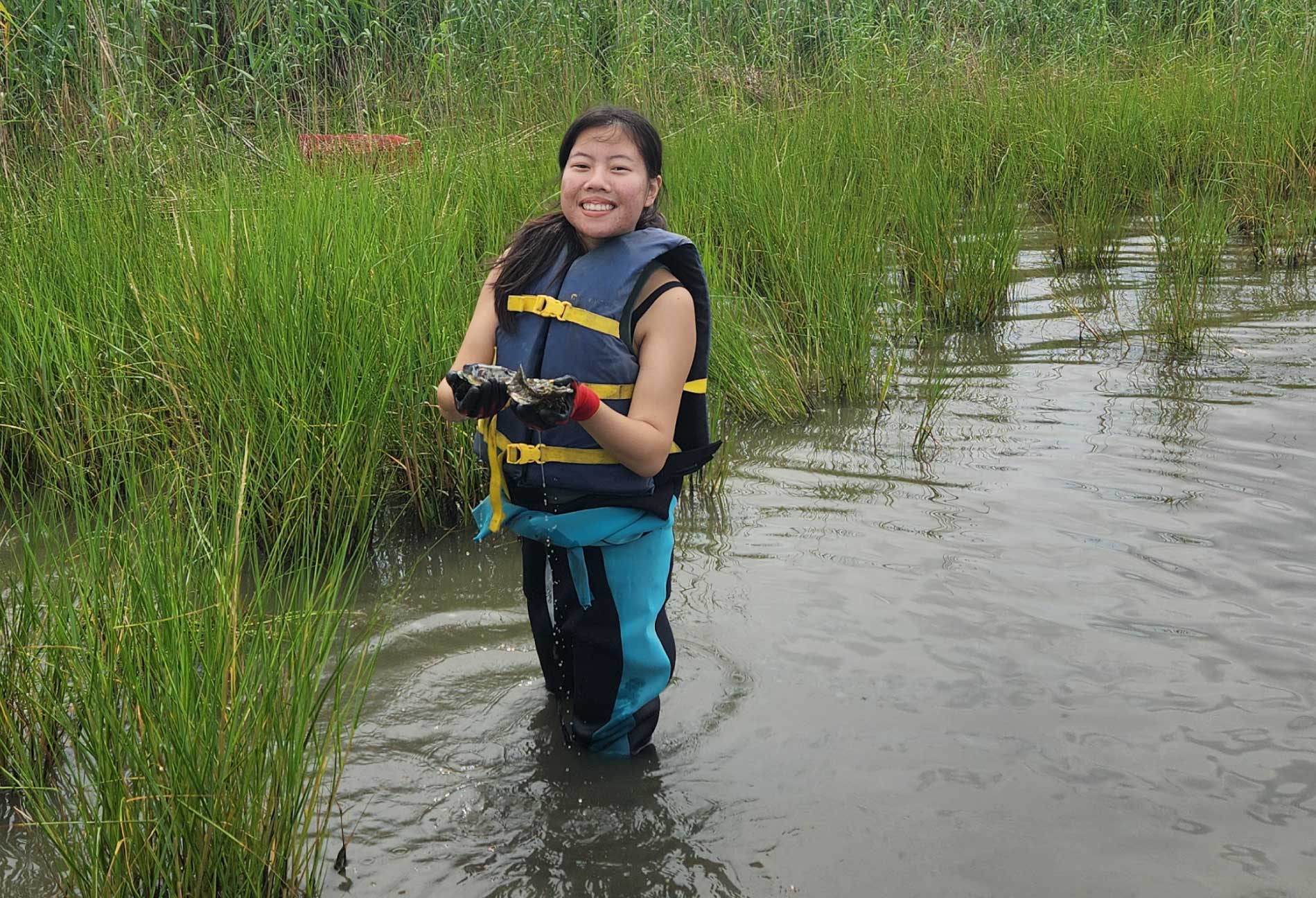  NIH-Funded Study Explores How Oysters Could Help Improve Food Safety