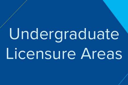 Undergraduate Licensure Areas