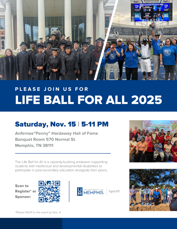 Life Ball for All Flyer