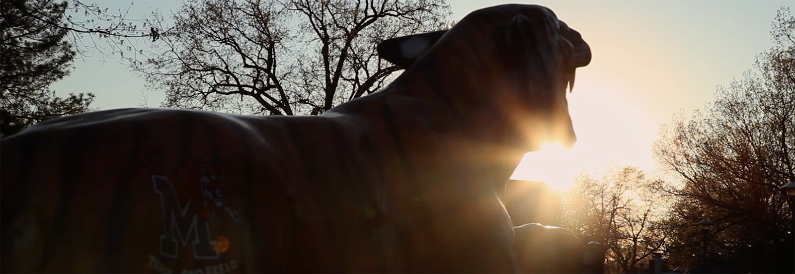 tiger statue with sunrise in the background